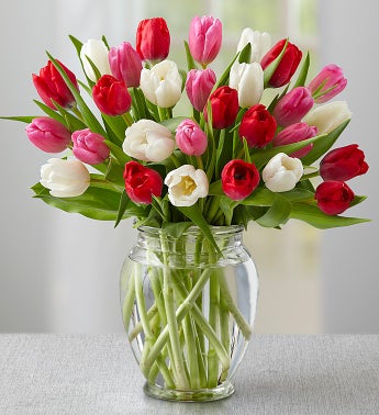 Vibrant Tulips, 15-30 Stems + Free Vase