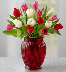 Valentine's Day Tulips - 15 Stems with Red Ginger Vase