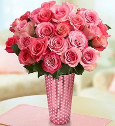 24 24 Stems