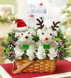 Santa Paws - Santa Paws and His Best Reindeer