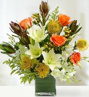 Tropical Arrangement