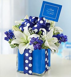 All Wrapped Up - Blue - All Wrapped Up - Blue with Pick