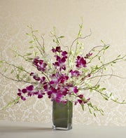 Orchid Arrangement