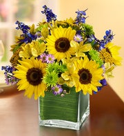 Fields of Europe? for Summer in Cube Vase