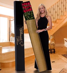 5 Red Roses