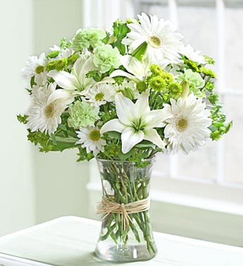 Serene Green