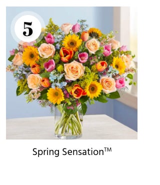 Spring Sensation(tm)