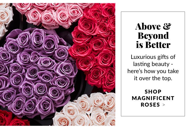 Beyond is Better - Shop Magnificent Roses