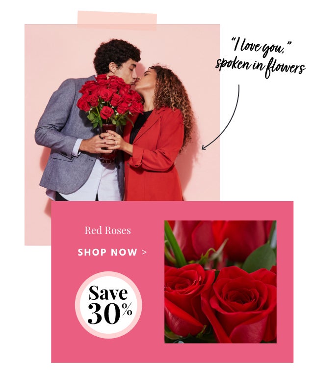 Enchanted Rose Medley - Shop Now Save 25%