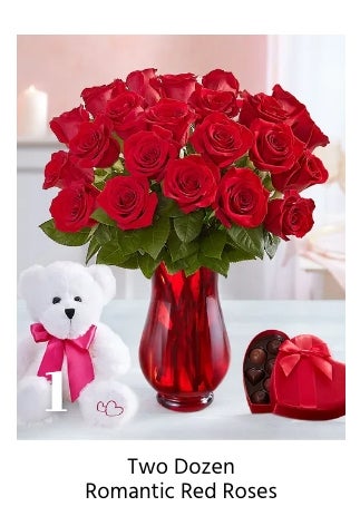 Two Dozen Romantic Roses