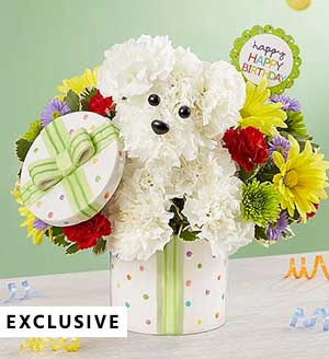 Party Pooch™  Same-Day Local Florist Delivery SHOP NOW