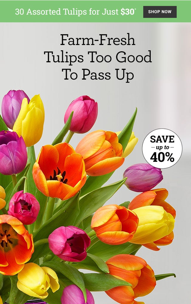 30 Assorted Tulips for Just $30 - Tiptoe Through The Season's Best Gift Bouquets