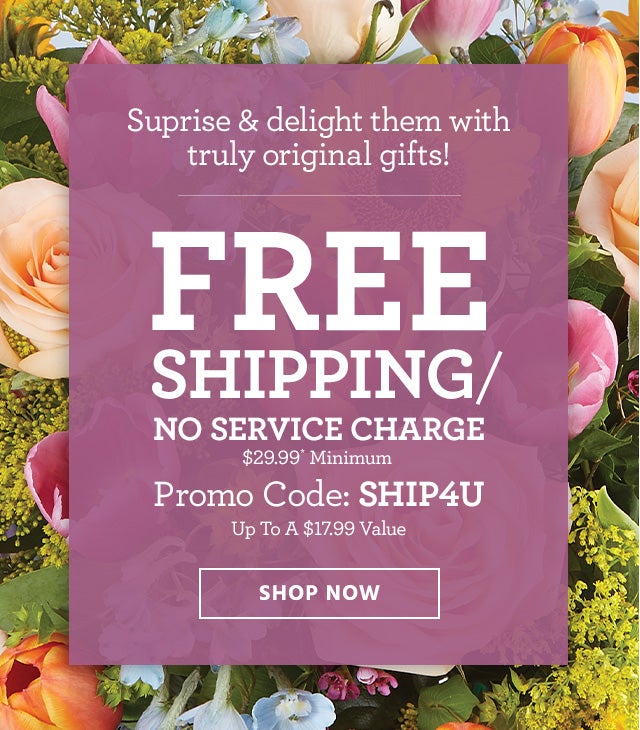 Surise & delight them with  truly original gifts! FREE SHIPPING/NO SERVICE CHARGE Promo Code: SHIP4U $29.99* Minimum | Up To A $17.99 Value SHOP NOW