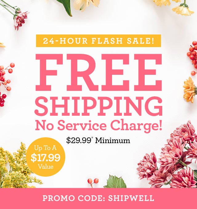 FLASH SALE FREE SHIPPING/ No Service Charge! $29.99* Minimum Up To A $17.99 Value PROMO CODE: SHIPWELL