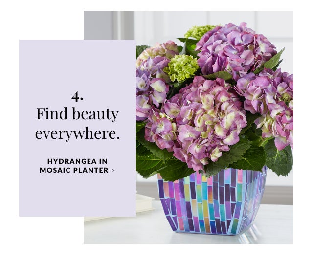 Find beauty everywhere. Hydrangea in Mosaic Planter