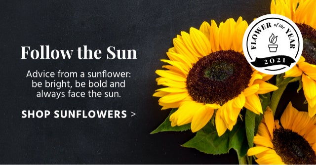 Follow the Sun - SHOP SUNFLOWERS