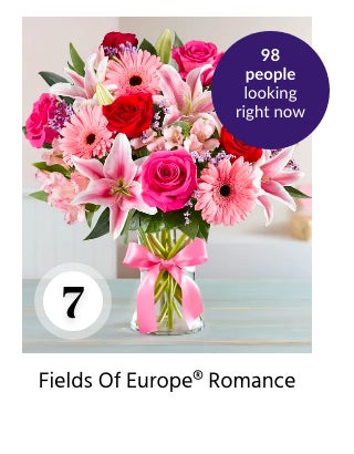 Fields of Europe(r) Romance