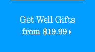 Get Well Gifts