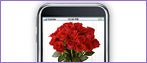 mobile flowers