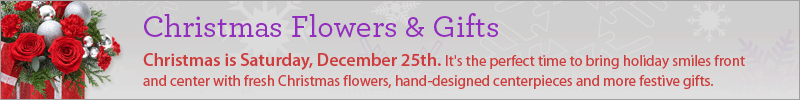 Christmas Flowers & Gifts