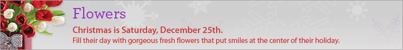 Christmas Flowers