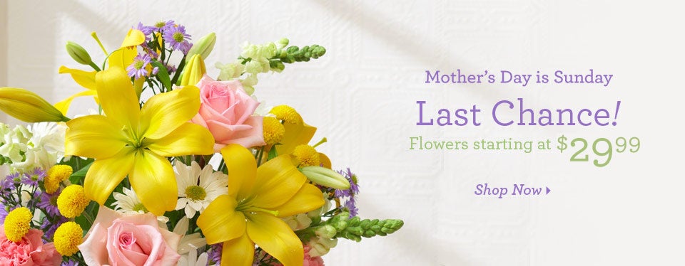 Mother's Day is Sunday. Last Chance! Flowers Starting at $24.99 - Shop Now