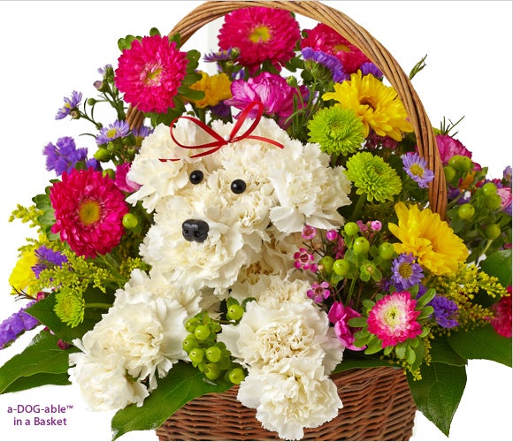 a-DOG-able in a Basket