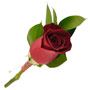 Boutonnieres - 3