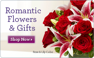 Love & Romance