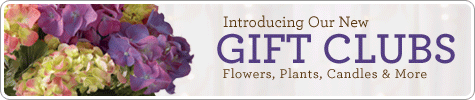 Gift Clubs