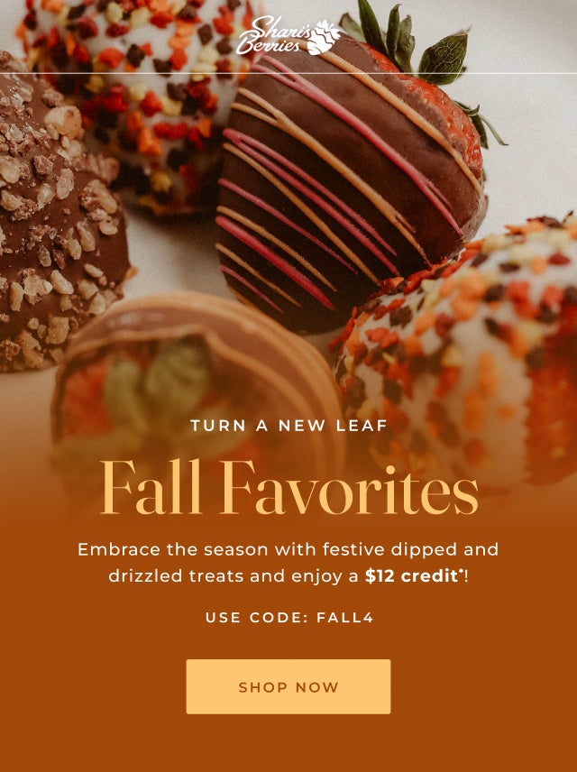 FALL FAVORITES - SHOP NOW