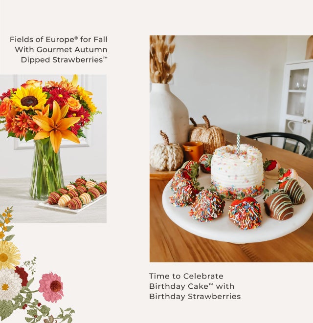 FIELDS OF EUROPE FOR FALL WITH GOURMET AUTUMN  DIPPED STRAWBERRIES