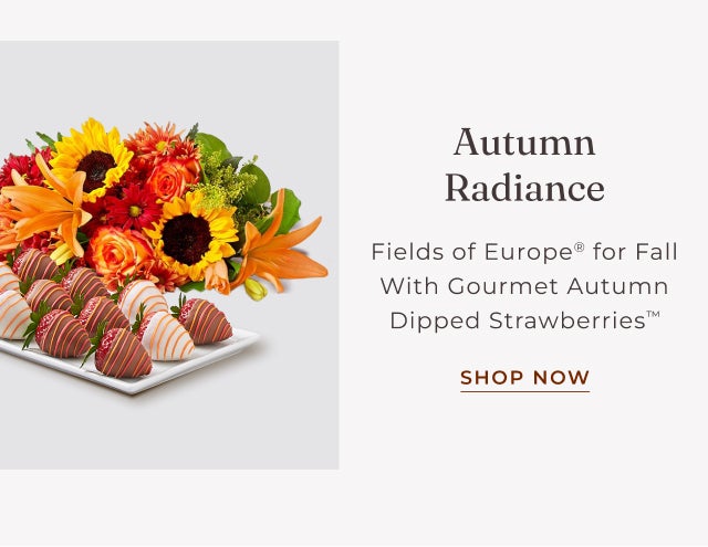 SHOP FIELDS OF EUROPE