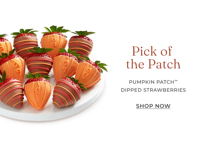 PUMPKIN PATCH DIPPED STRAWBERRIES