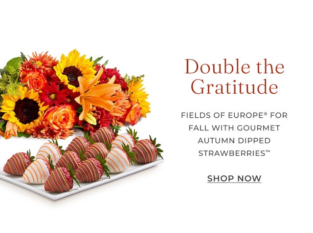 FIELDS OF EUROPE FOR FALL WITH GOURMET AUTUMN DIPPED STRAWBERRIES