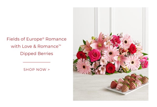 Fields of Europe Romance with Love & Romance Dipped Berries