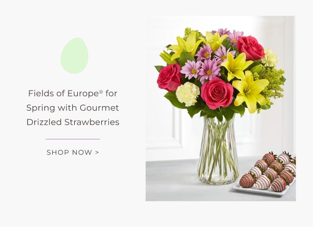 Fields of Europe for Spring with Gourmet Drizzled Strawberries