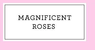 Magnificent Roses