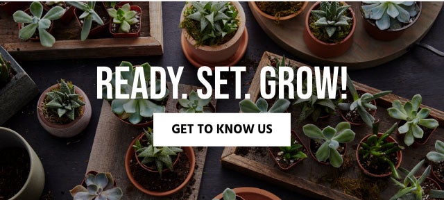 Ready, Set, Grow!  About Us