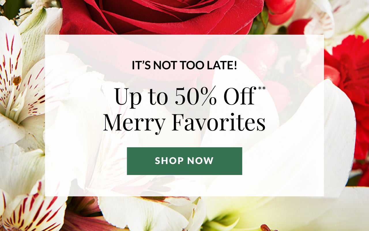 UP TO 50% OFF MERRY FAVORITES