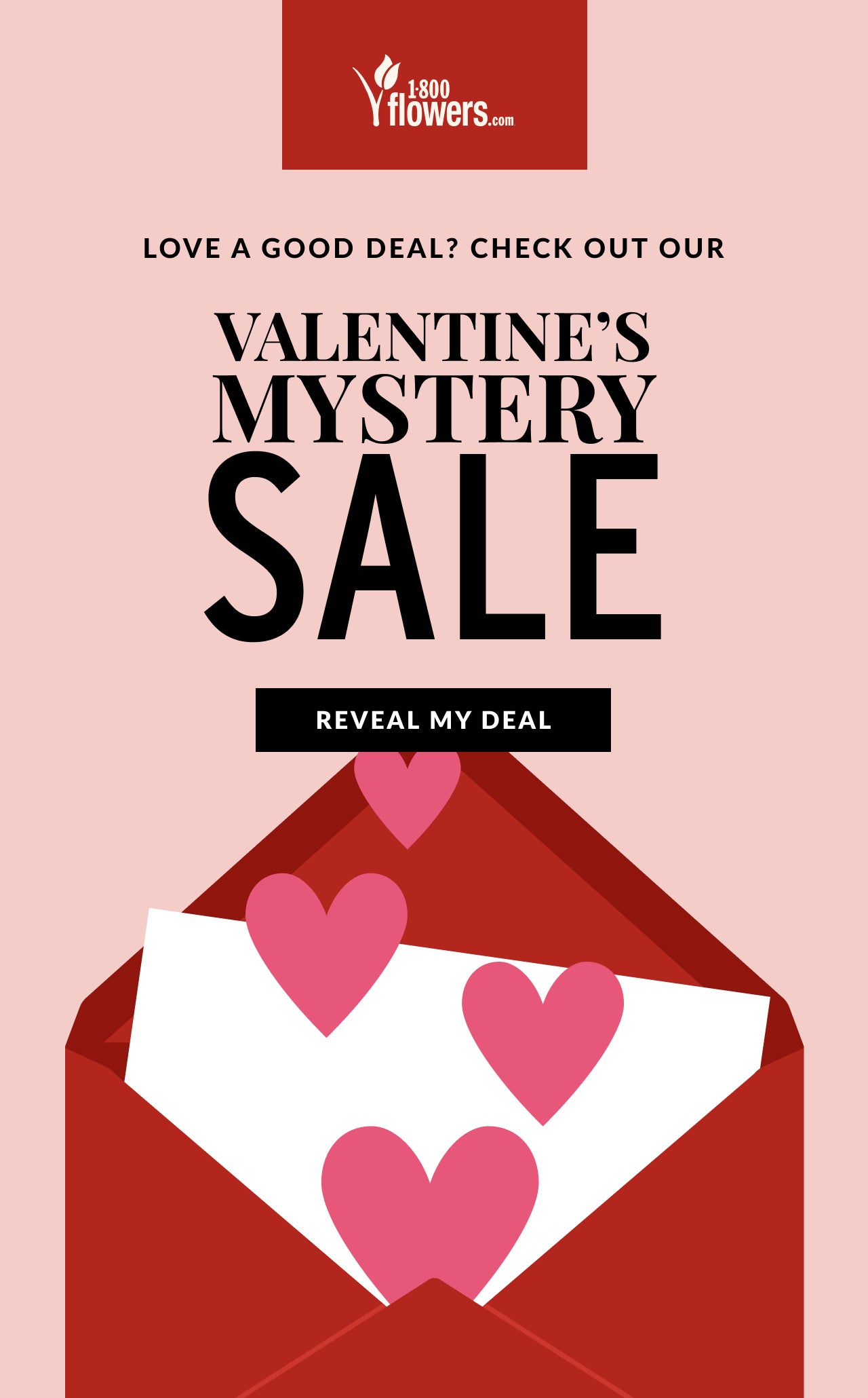 VALENTINE'S MYSTERY SALE