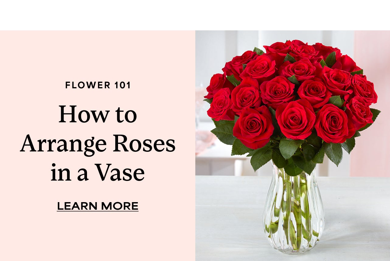 LEARN HOW TO ARRANGE ROSES IN A VASE