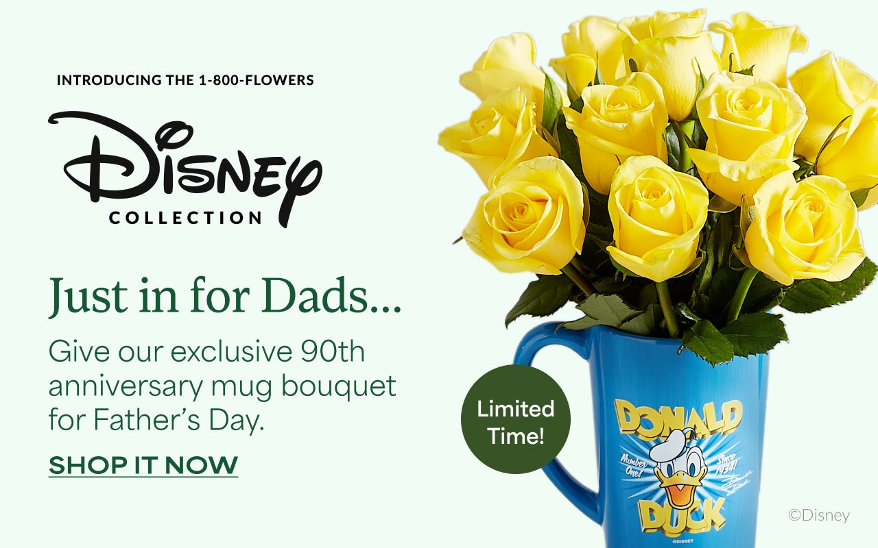 SHOP DISNEY NOW