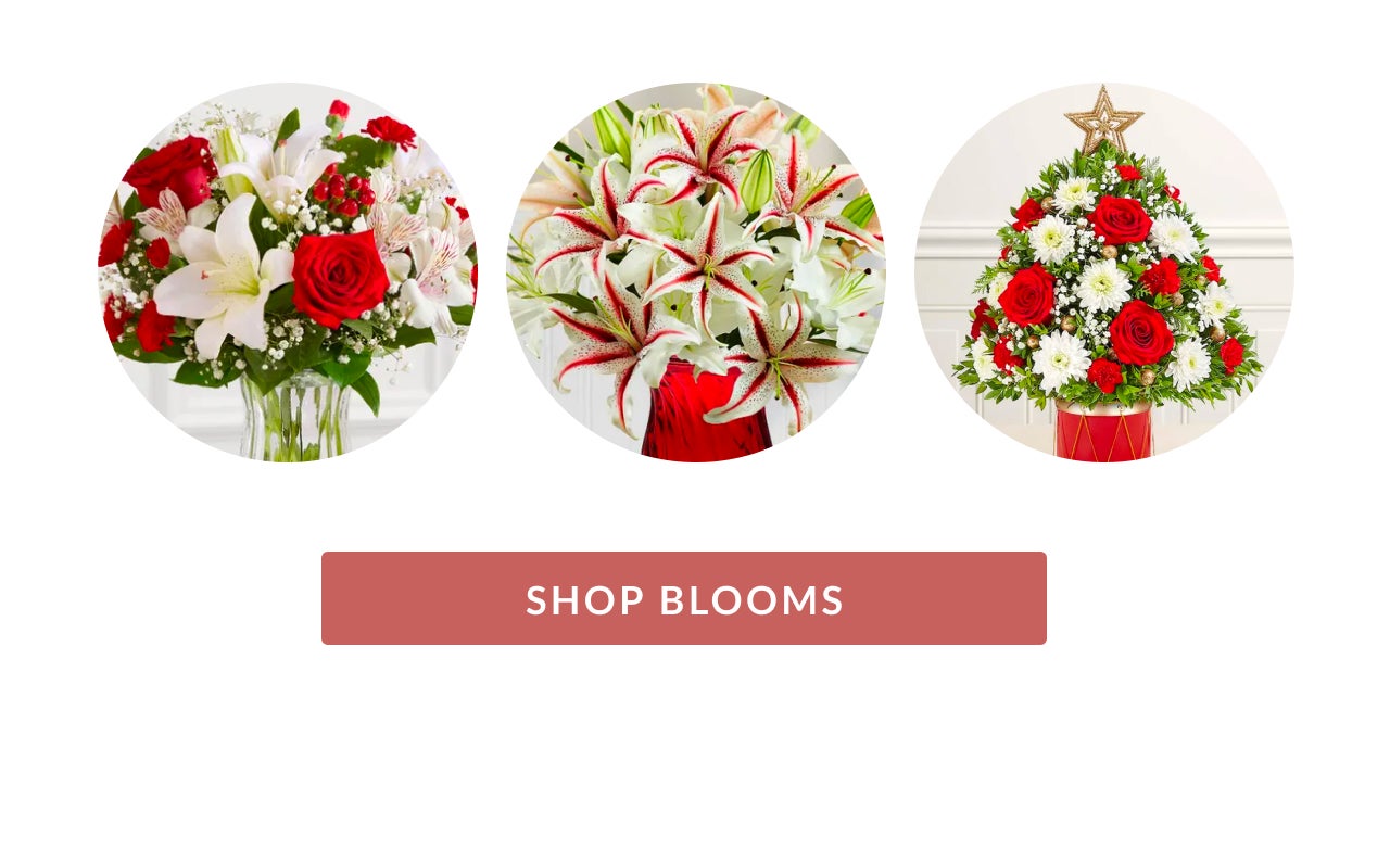 SHOP BLOOMS