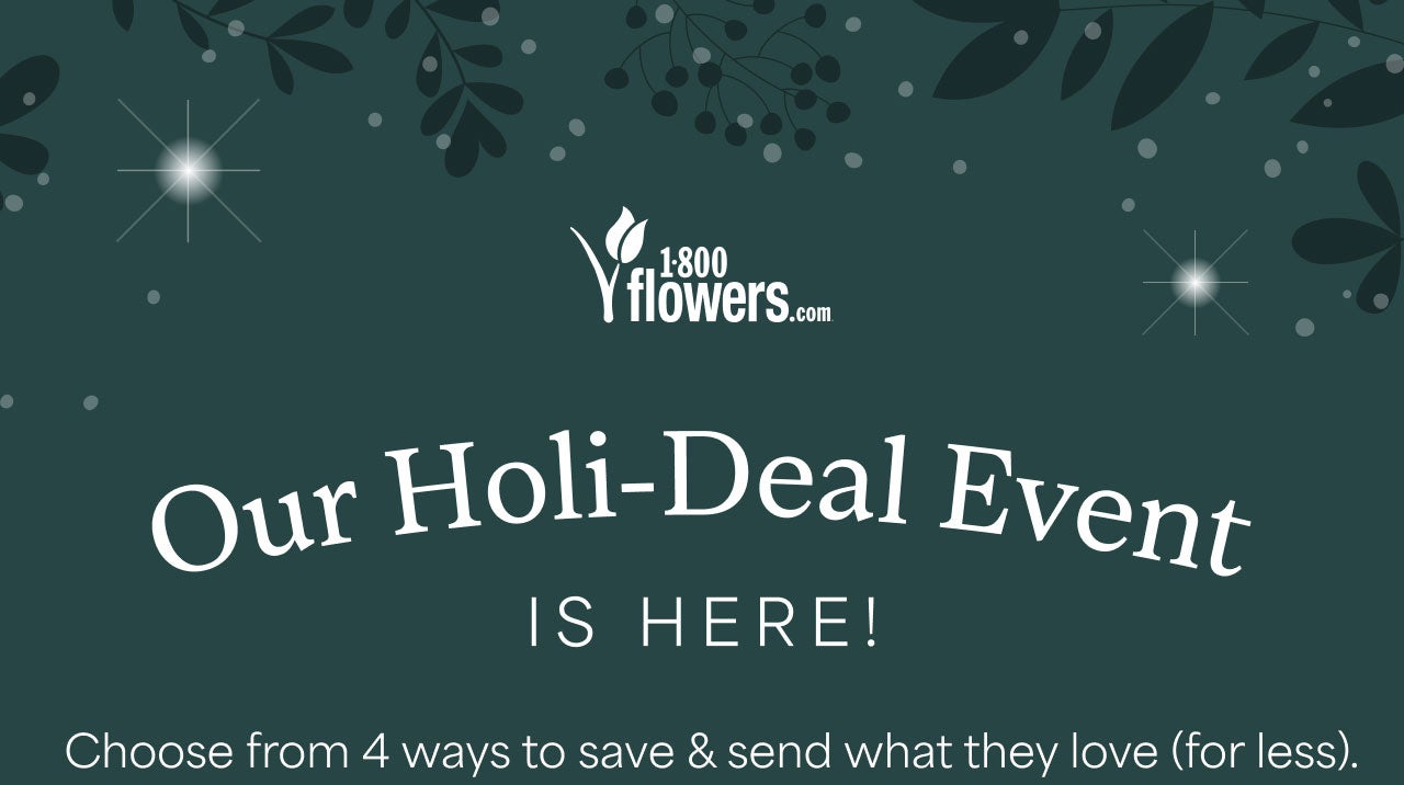 OUR-HOLI-DEAL EVENT IS HERE!