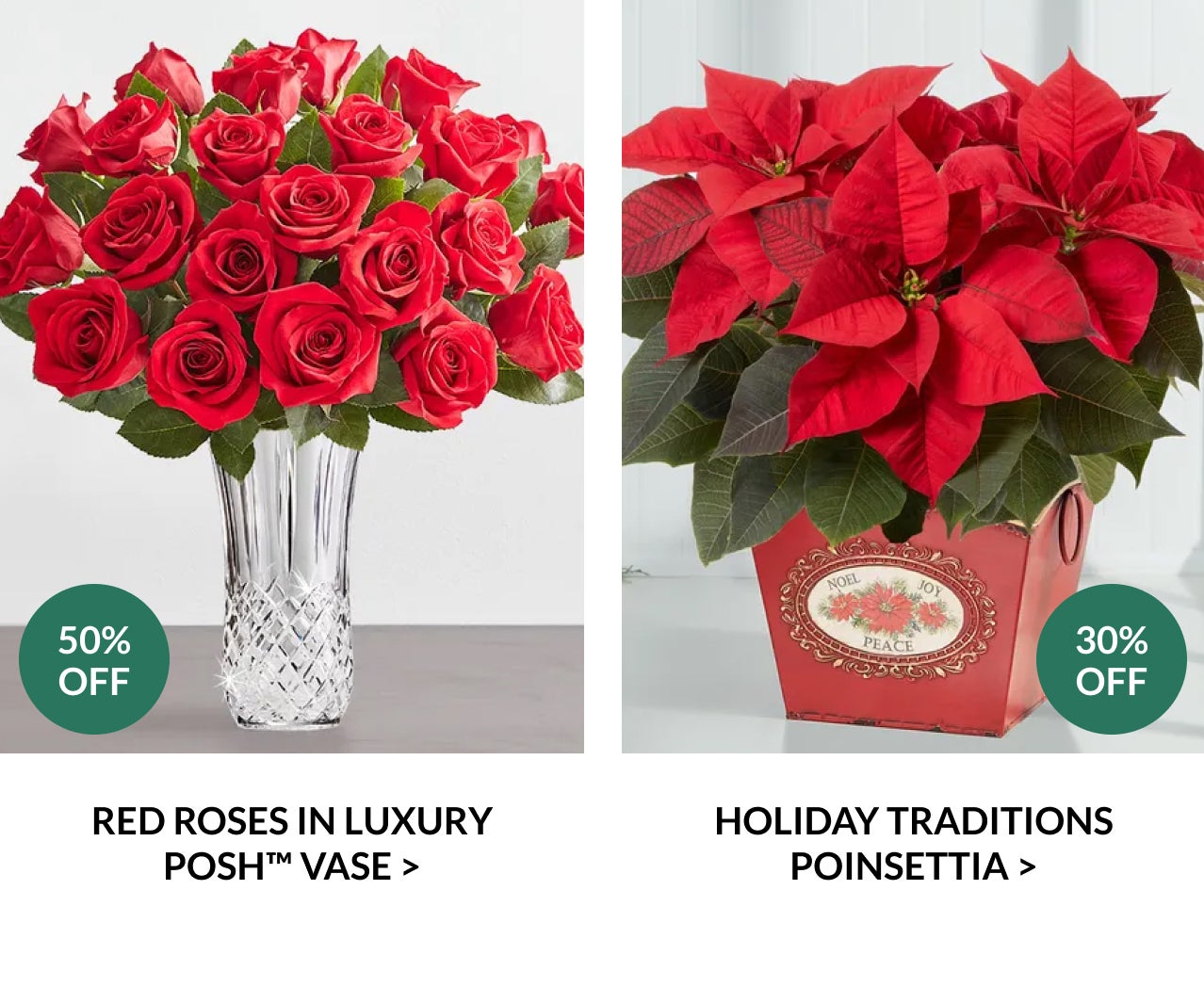 Red Roses In Luxury Posh Vase. Holiday Traditions Poinsettia