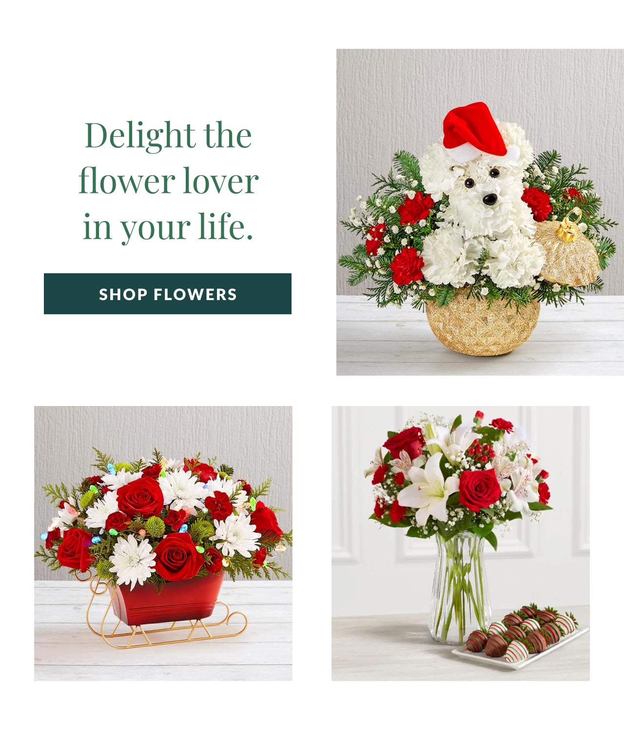 Shop Flowers