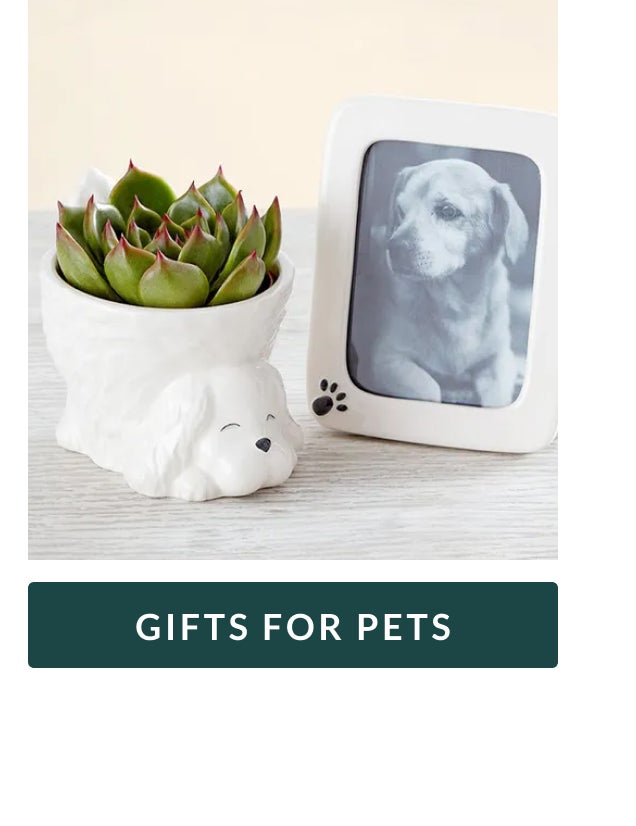 Gifts For Pets