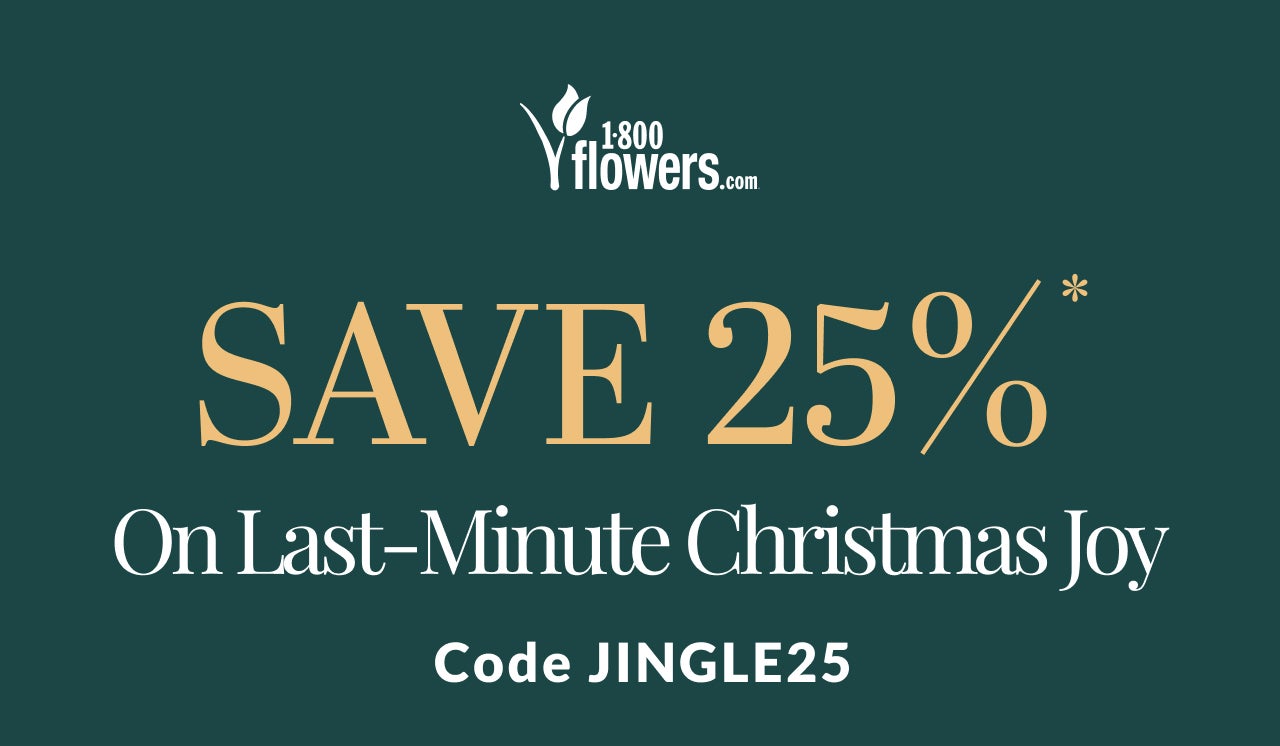 Save 25% Code JINGLE25