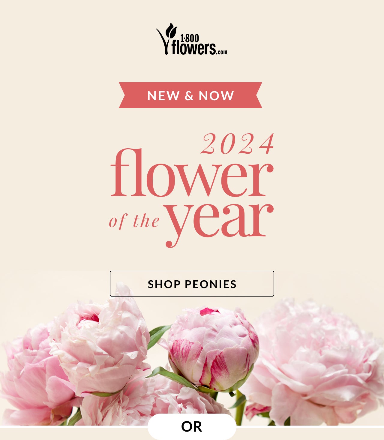 SHOP PEONIES